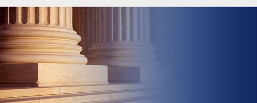 Business  Litigation Image